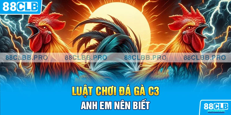 Giới thiệu luật chơi trực tiếp đá gà C3 