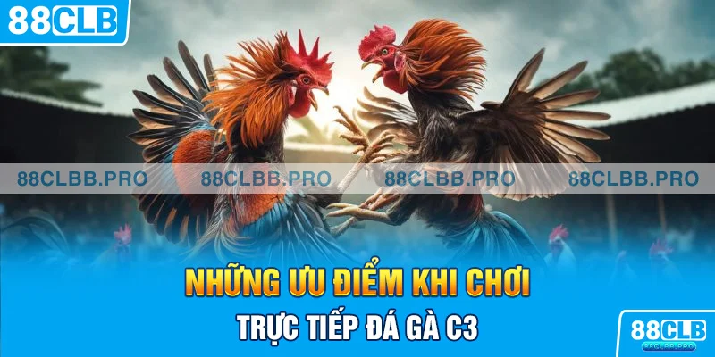 Những ưu điểm khi chơi trực tiếp đá gà C3