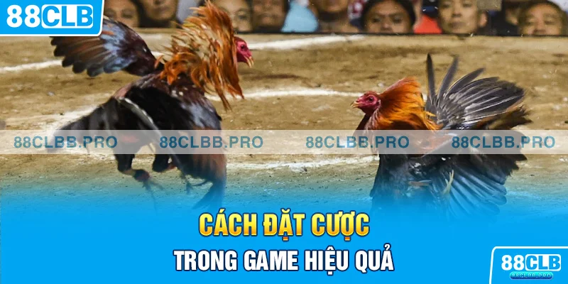 Cách đặt cược trong game hiệu quả