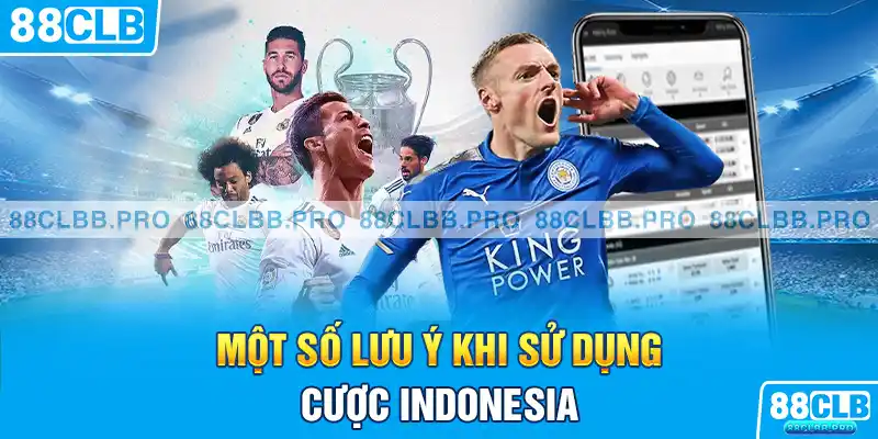 Một số lưu ý khi sử dụng cược indonesia